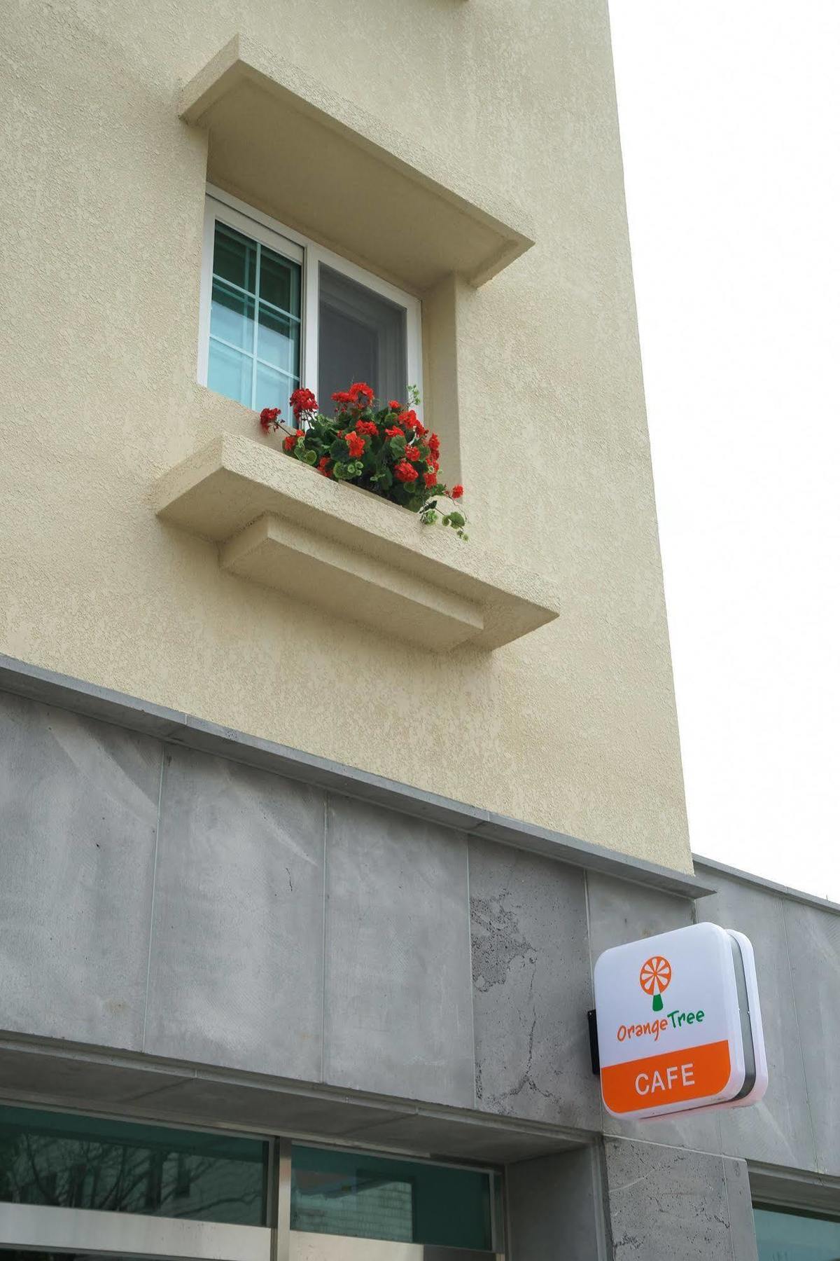 Orange Tree Hotel Чеджудо Экстерьер фото