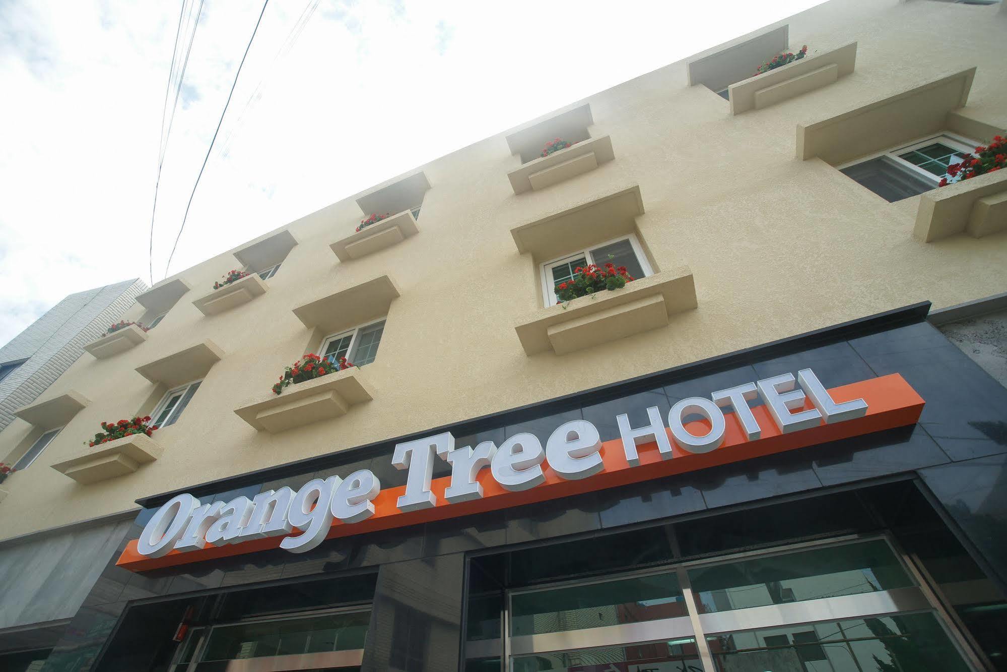 Orange Tree Hotel Чеджудо Экстерьер фото