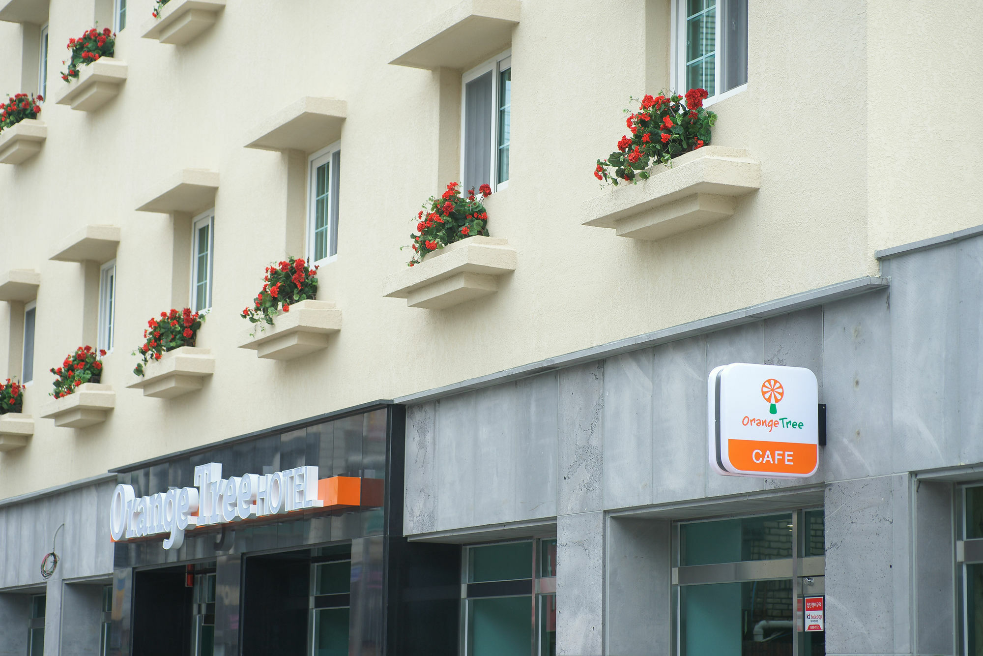 Orange Tree Hotel Чеджудо Экстерьер фото